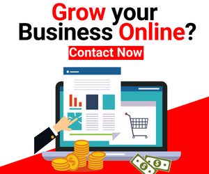 Grow your Business Online Bnr